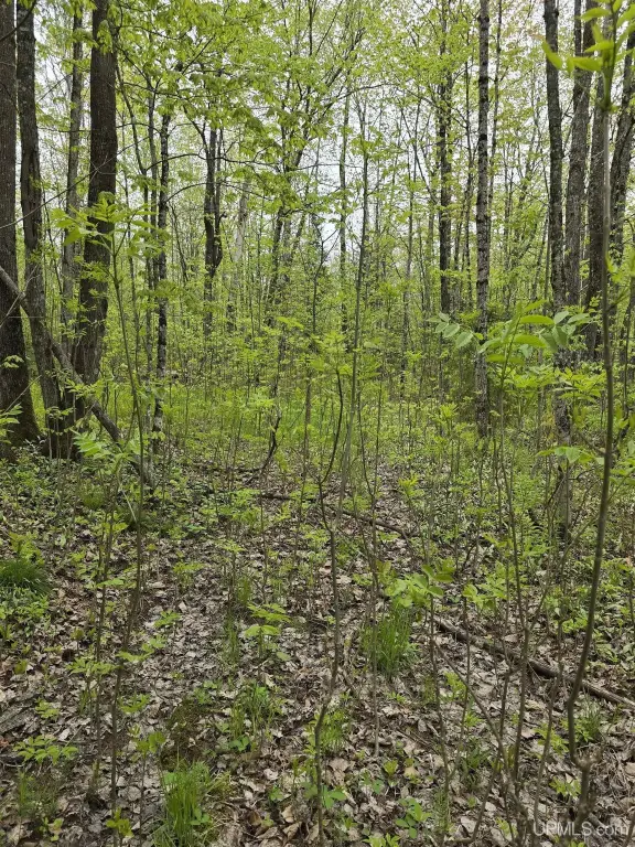 Picture 36