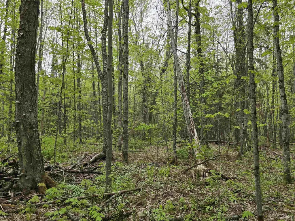 Picture 27