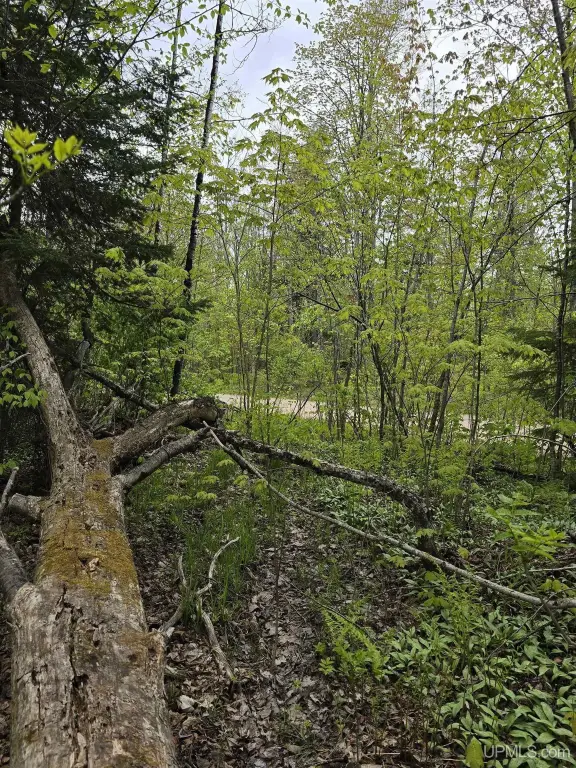 Picture 37