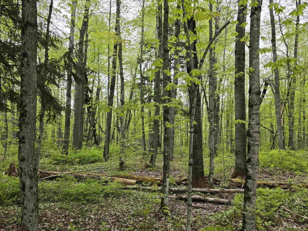 Picture 33