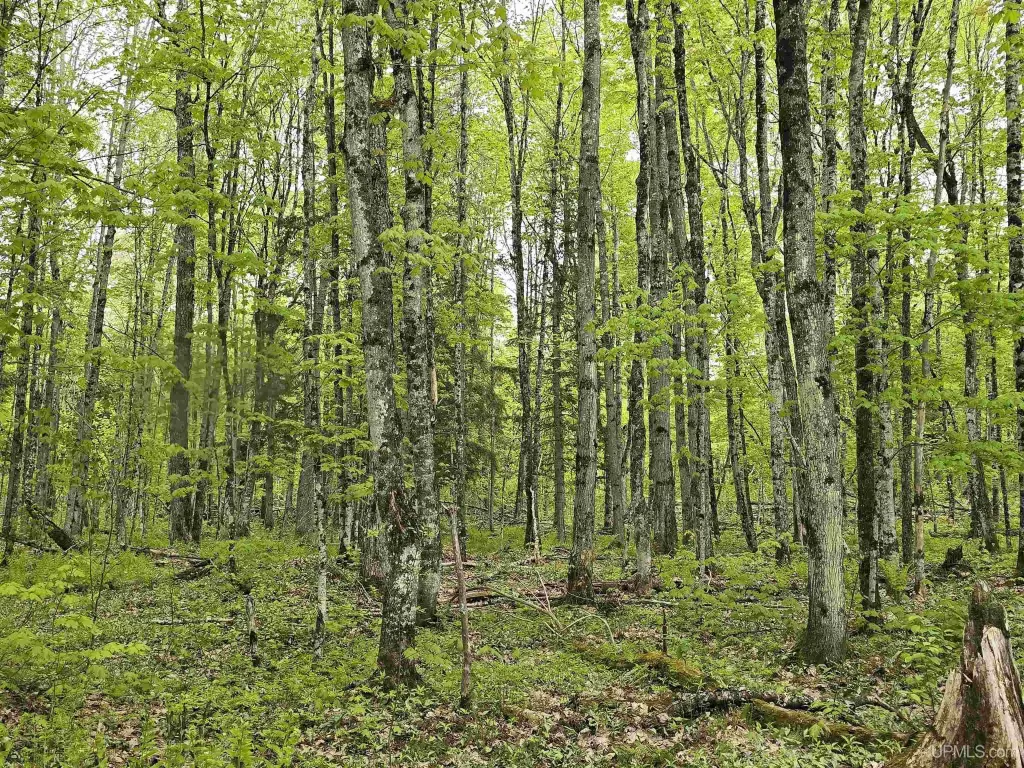 Picture 22