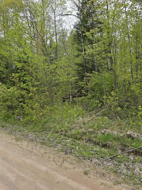 Picture 38
