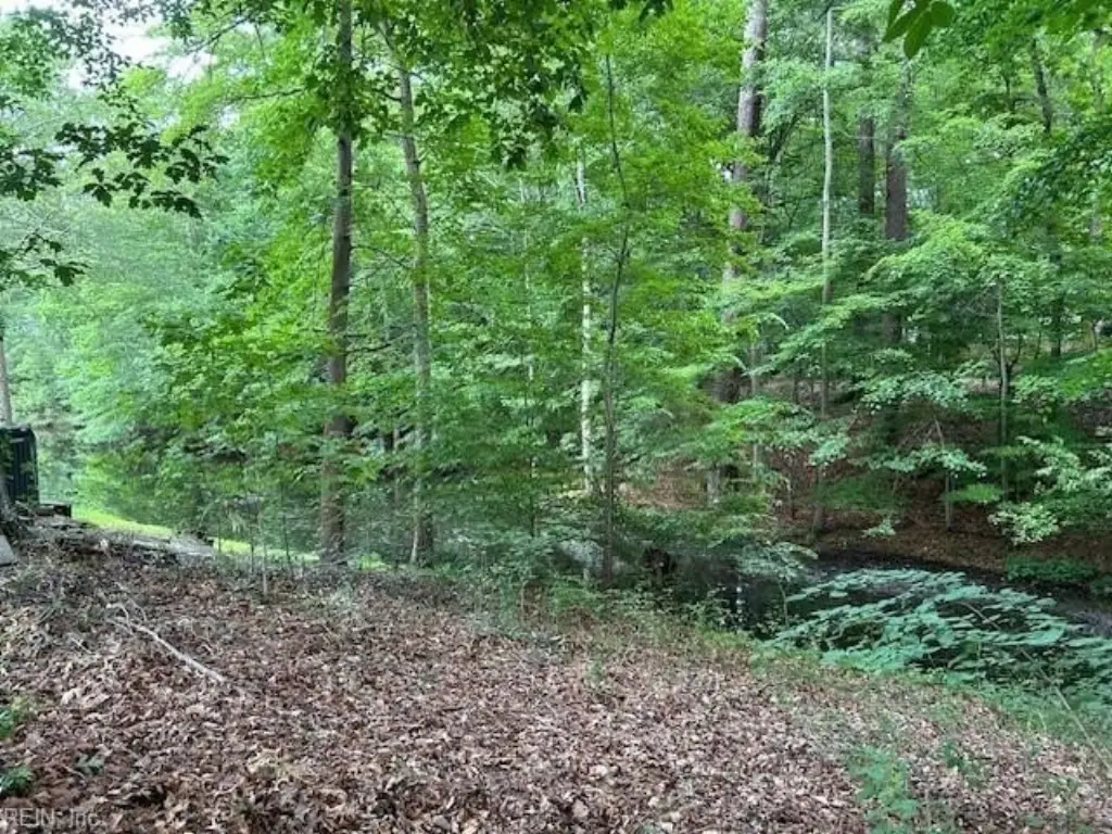 Picture 7