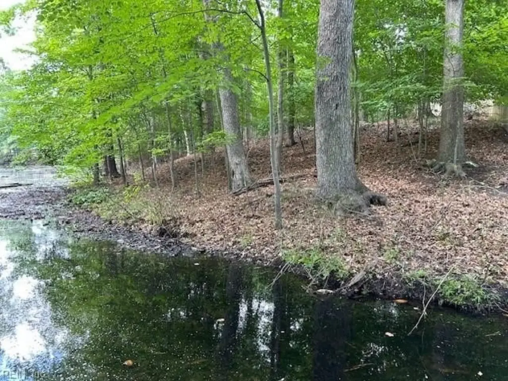 Picture 11