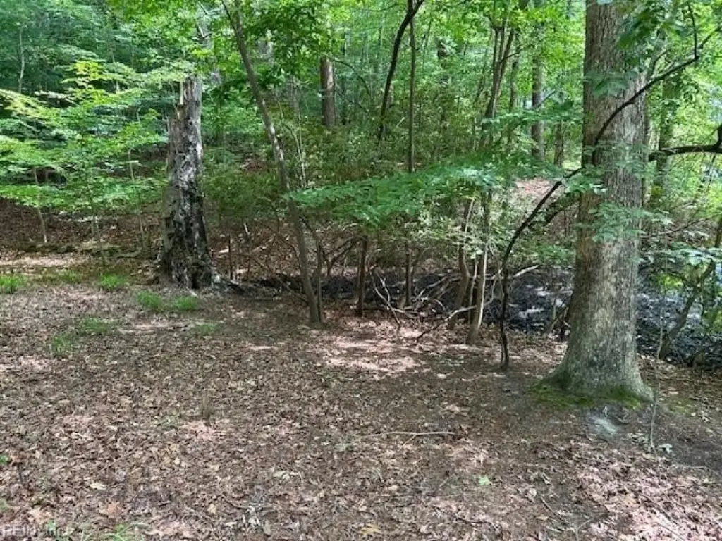 Picture 14