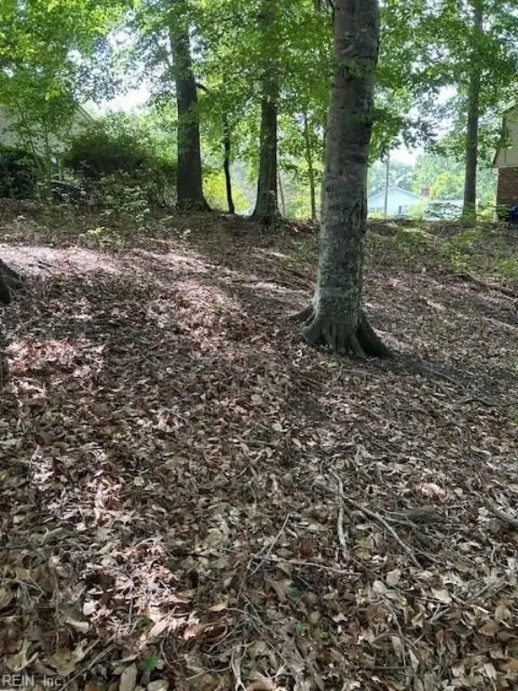 Picture 12