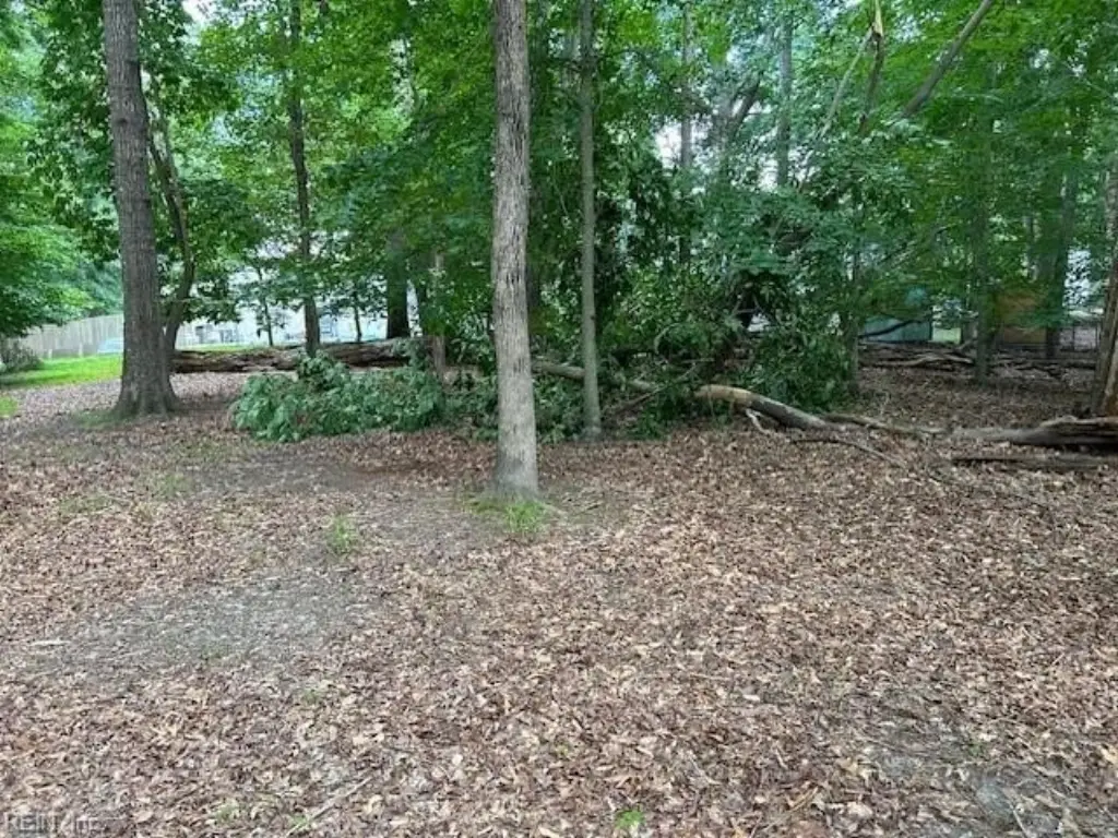 Picture 14