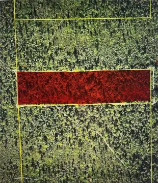 10-Acre Hunting Land
