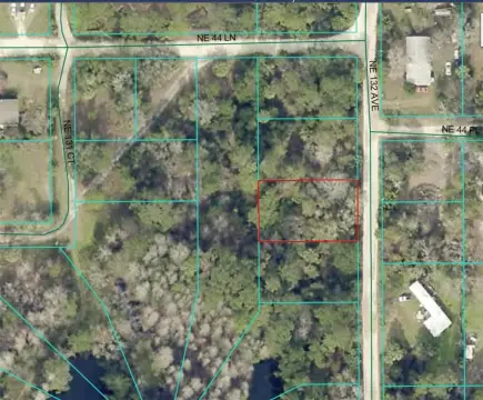 Wooded Lot in Silver Springs