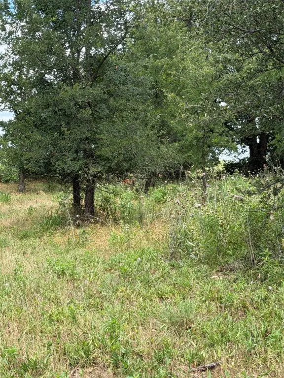 Picture 10