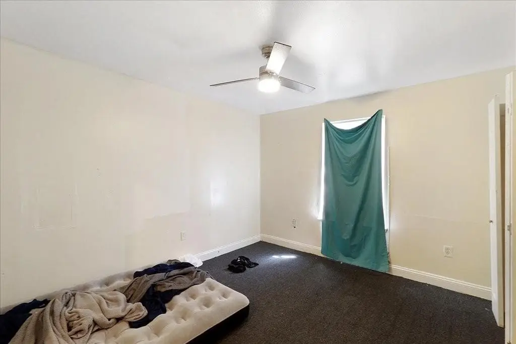 Picture 11