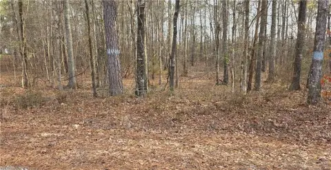 Vacant Land in Salem, AL