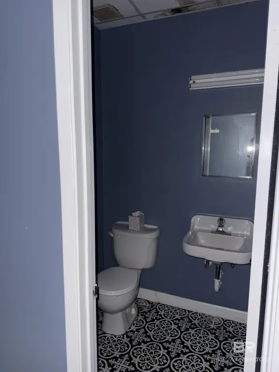 Picture 12