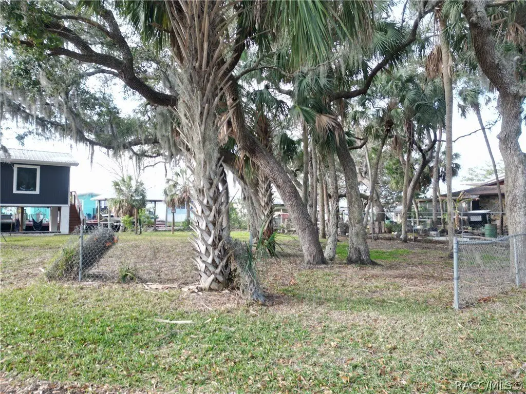 Picture 10