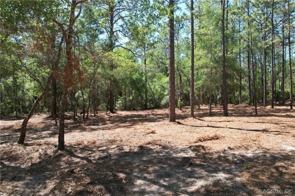 Picture 10