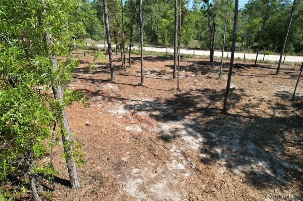 Picture 6