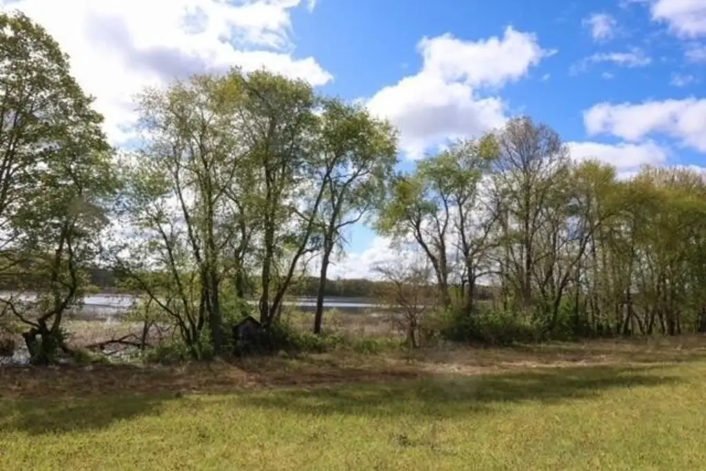 Picture 15