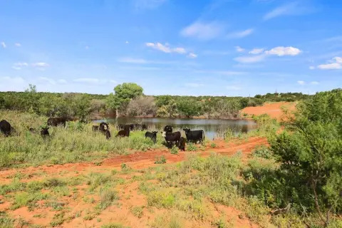 Dickens County Ranch Land