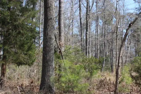 Residential Lot in Waterfront Community