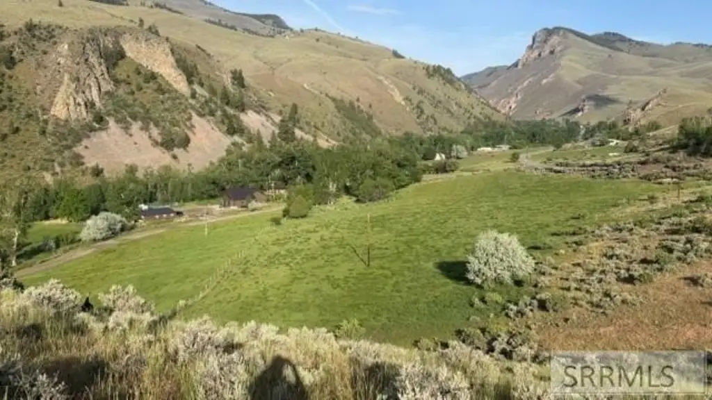 Picture 2