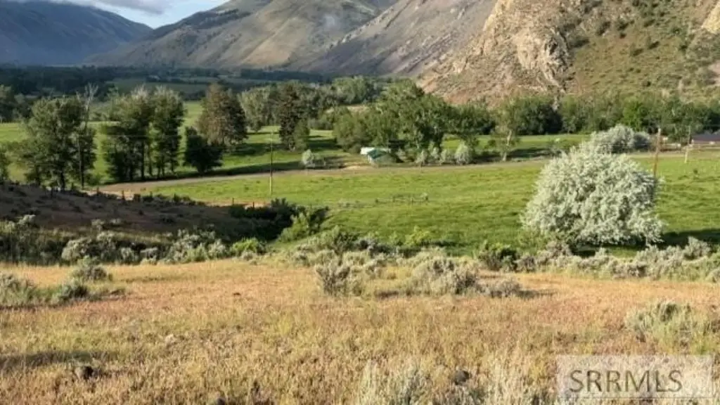 Picture 6