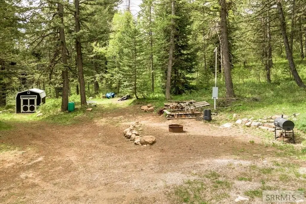 Picture 8
