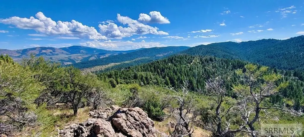 Picture 30