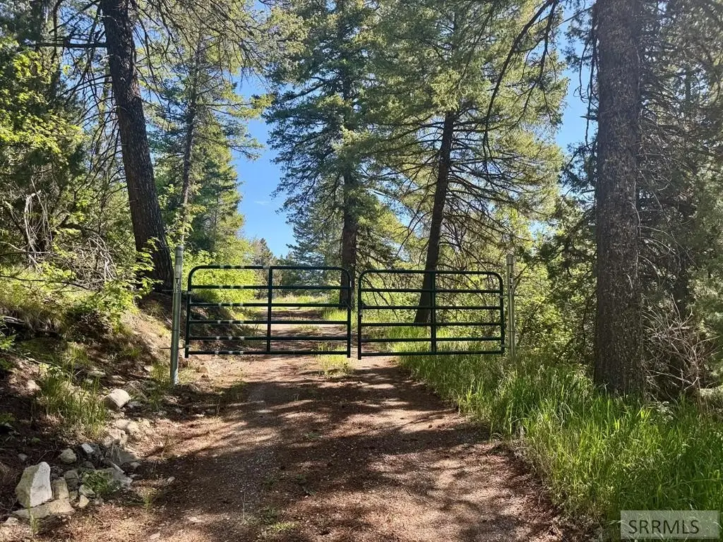 Picture 23