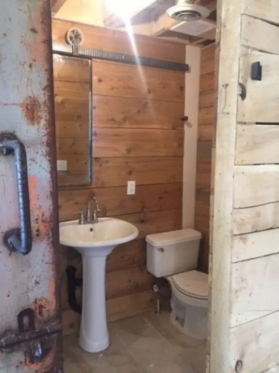 Picture 14