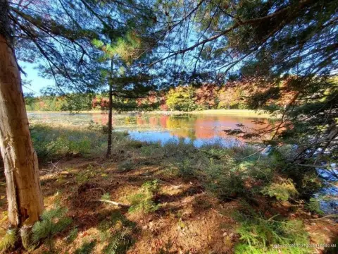 Waterfront Wilderness Acreage For Sale