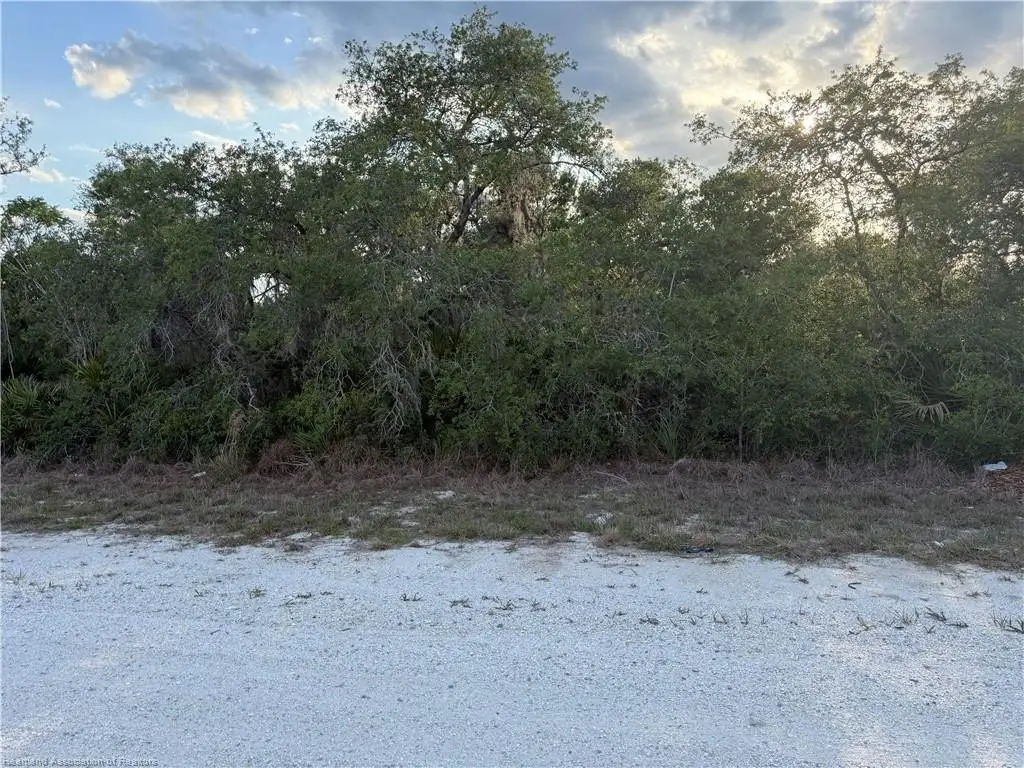 Picture 8