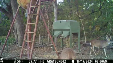 Recreational Land Near Metroplex