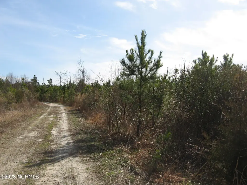 Picture 7