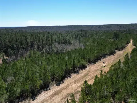 25 Acres Timberland Near Atmore