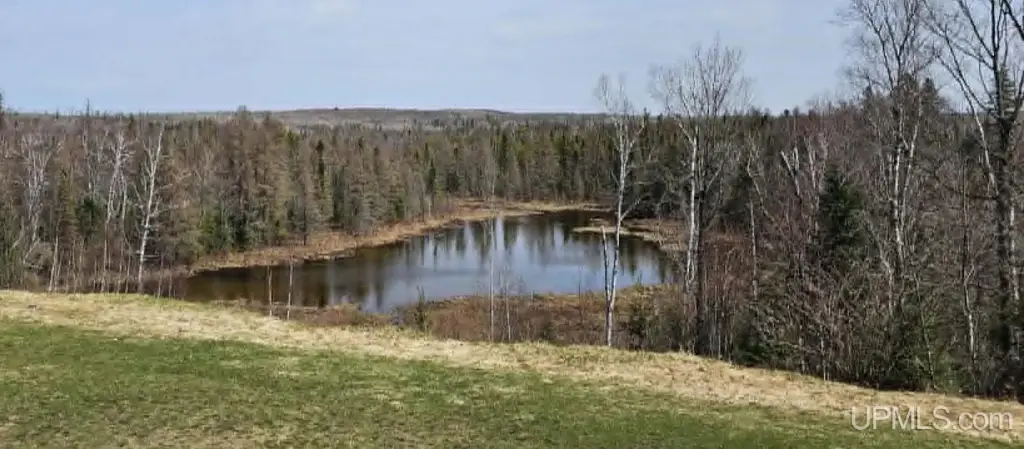 Picture 10