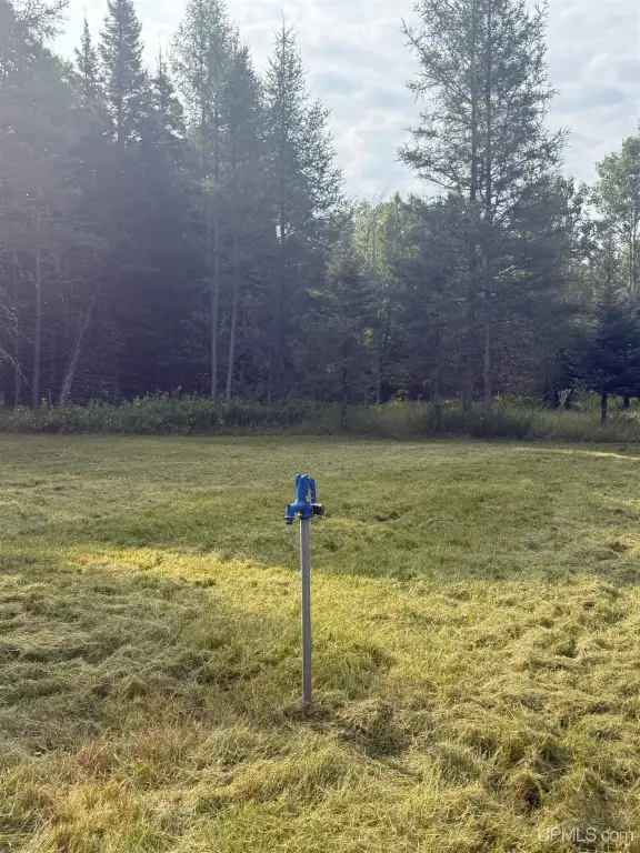 Picture 5