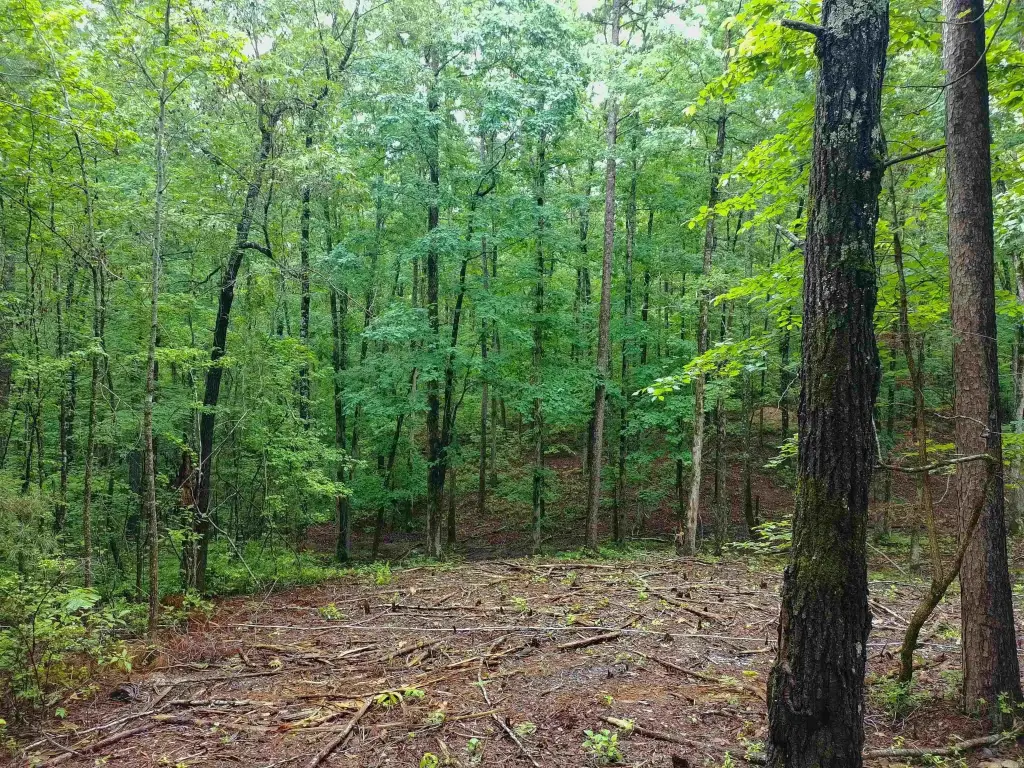 Picture 25