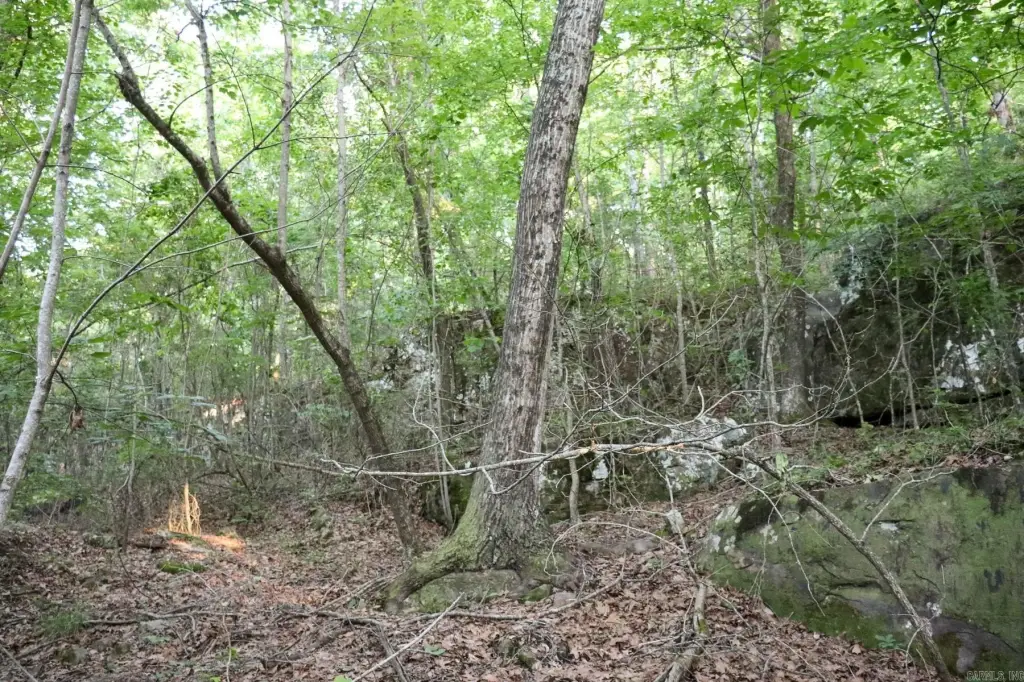 Picture 18