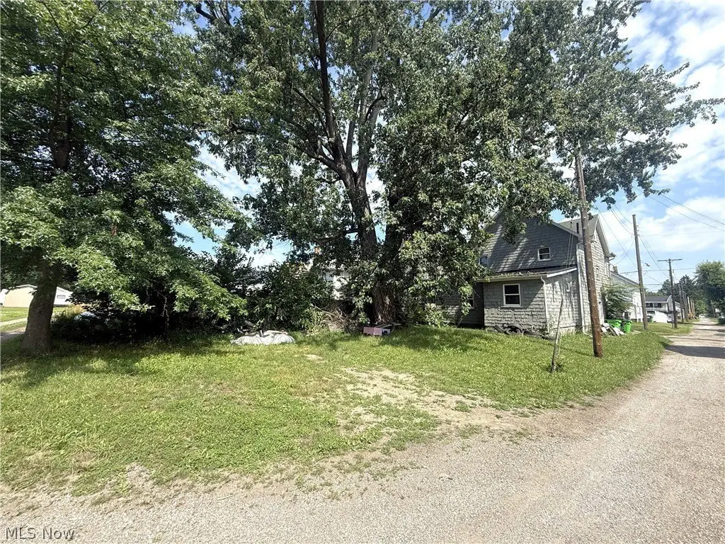 Picture 4