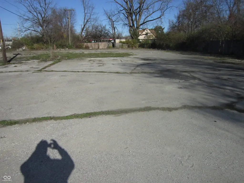 Picture 3