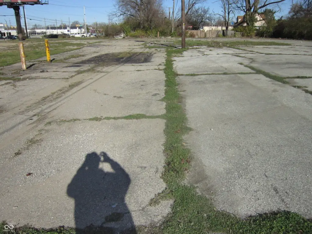 Picture 6