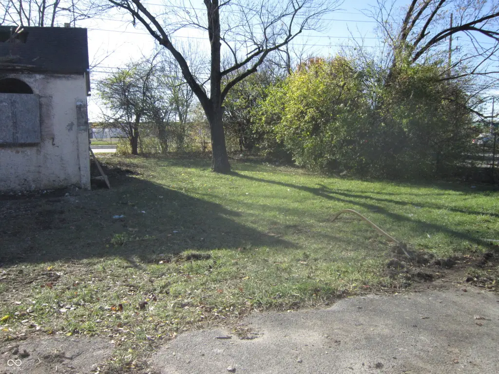 Picture 8