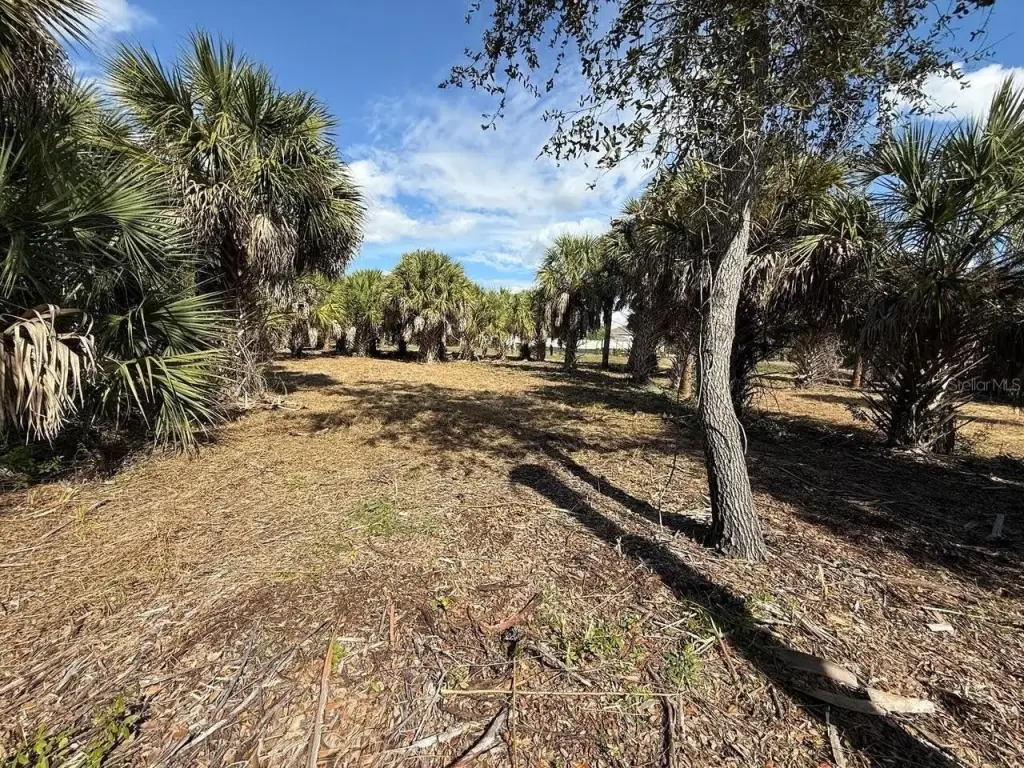 Picture 3
