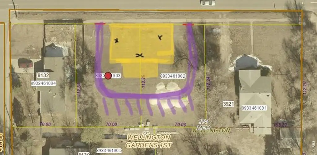 Picture 19