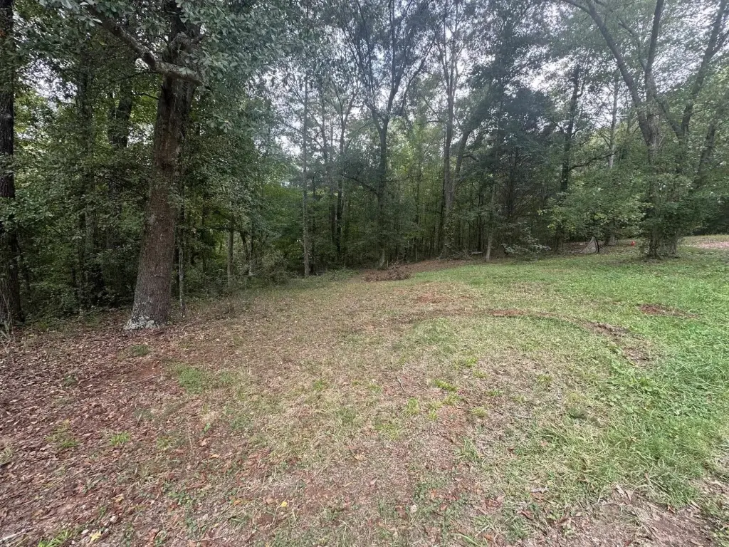 Picture 4