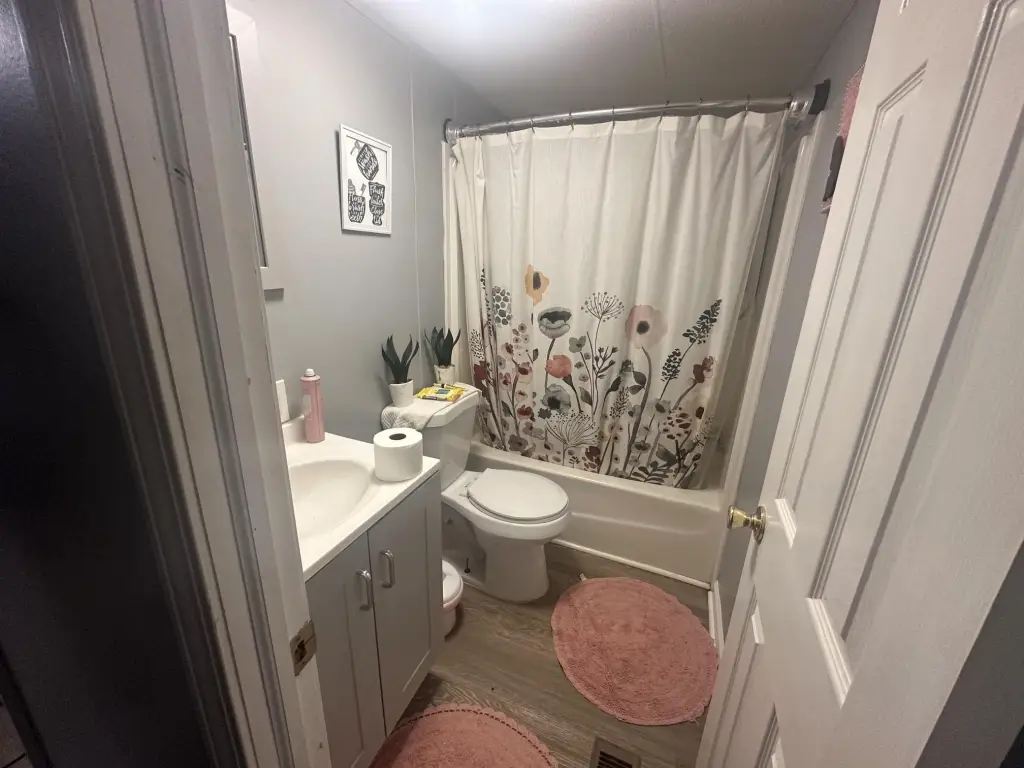 Picture 17