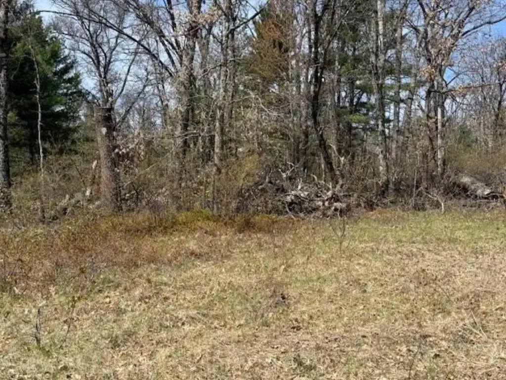 Picture 3