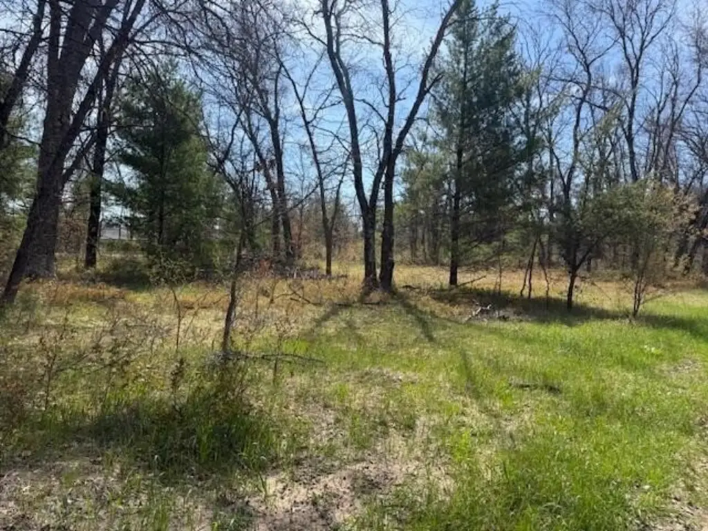 Picture 8