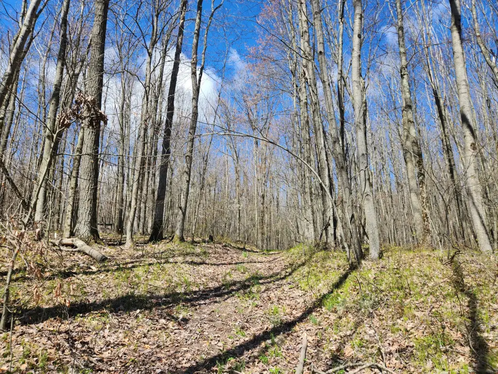 Picture 2