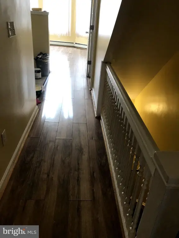 Picture 15